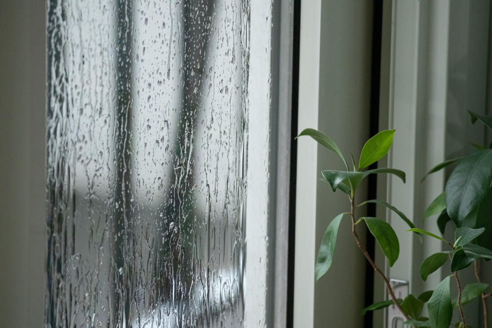 【梅雨の暮らしを快適に】買って良かった湿気対策おすすめグッズ6選  ｜2025年最新