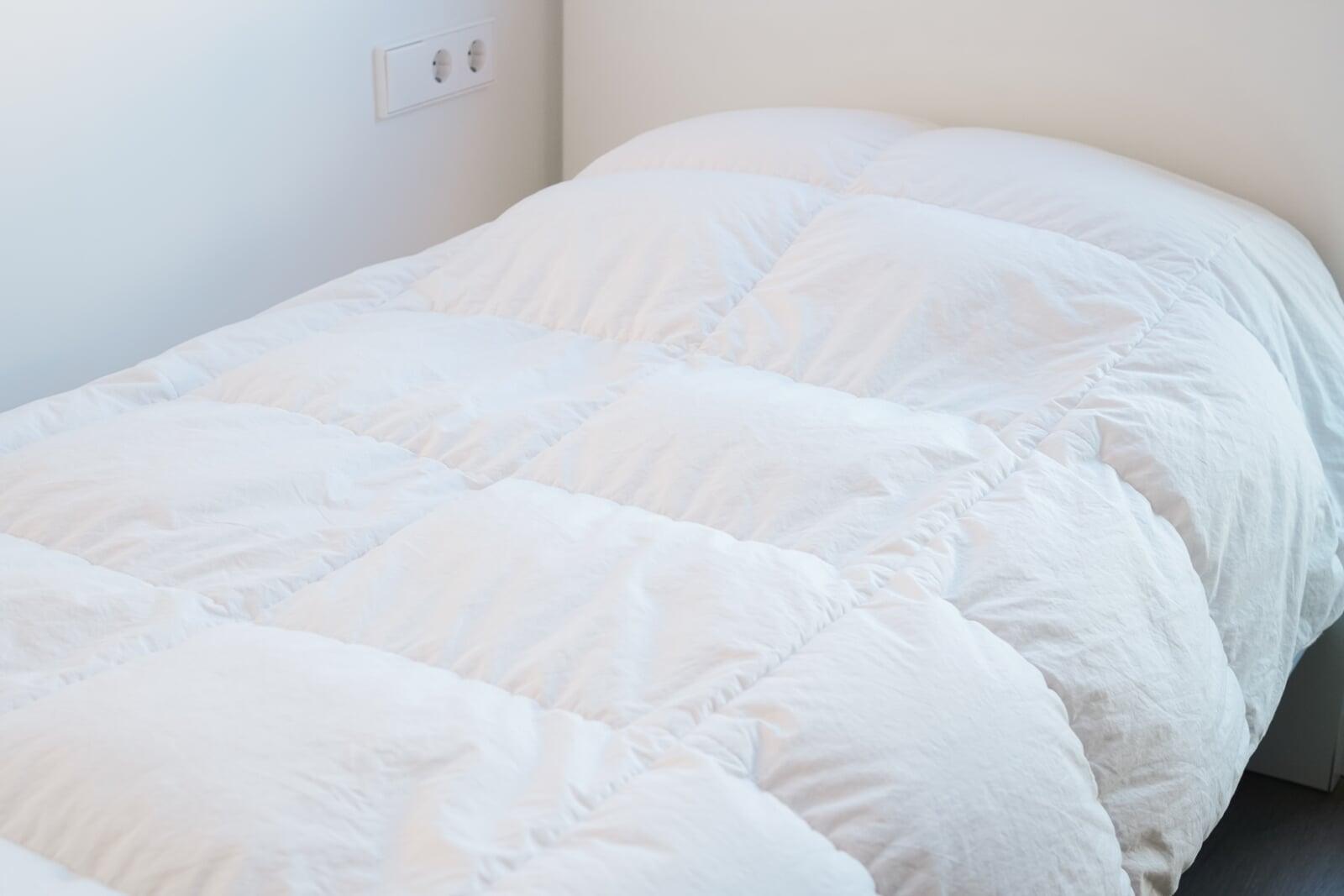 【2025年版】羽毛布団はいつから出す？入れ替えの目安と心地よく眠る工夫  