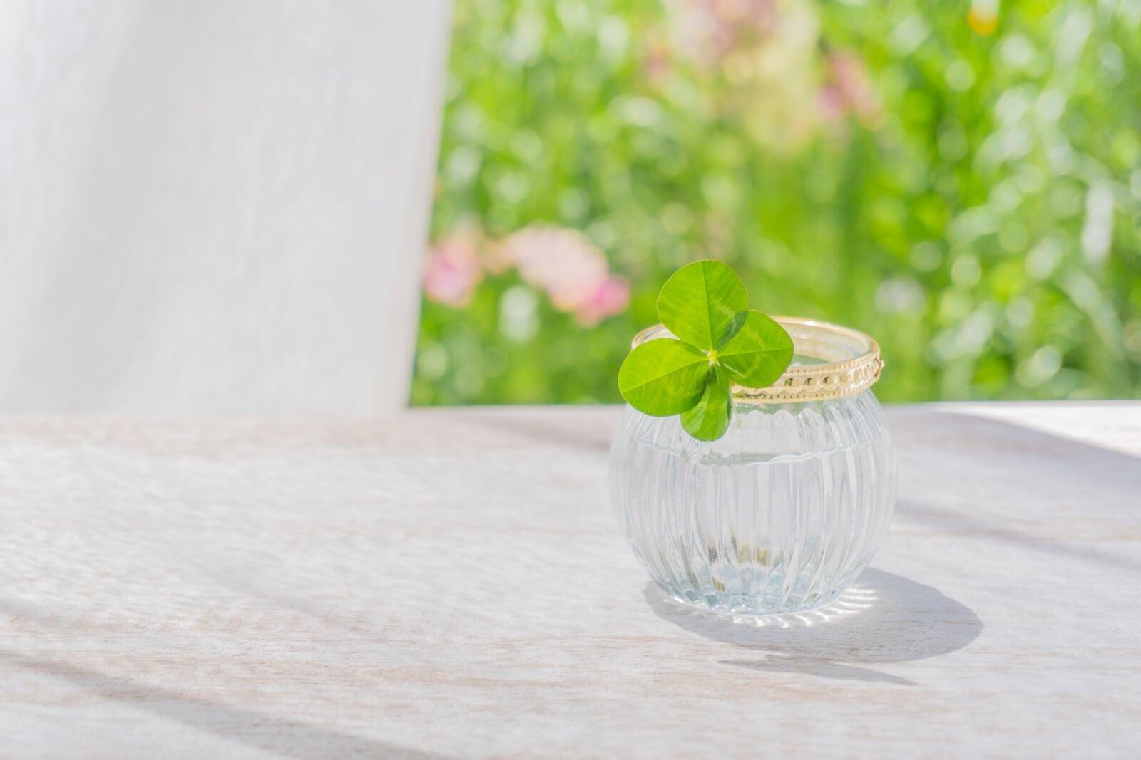 運を呼び込む行動学｜運がいい人の口癖・思考習慣から見る運を良くする方法