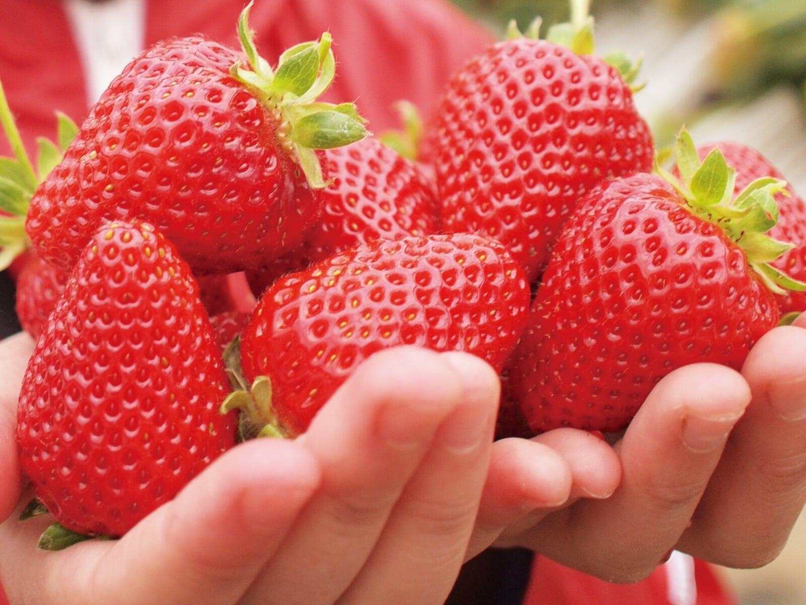 【2026年版】春の土用はいつ？「い」のつく食べ物を食べる？｜やってはいけないこと・間日