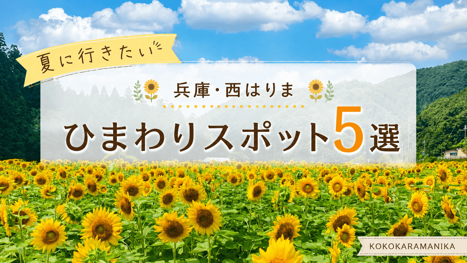 【兵庫・西はりま】ひまわり畑名所5選｜見頃はいつ?｜夏のおでかけに