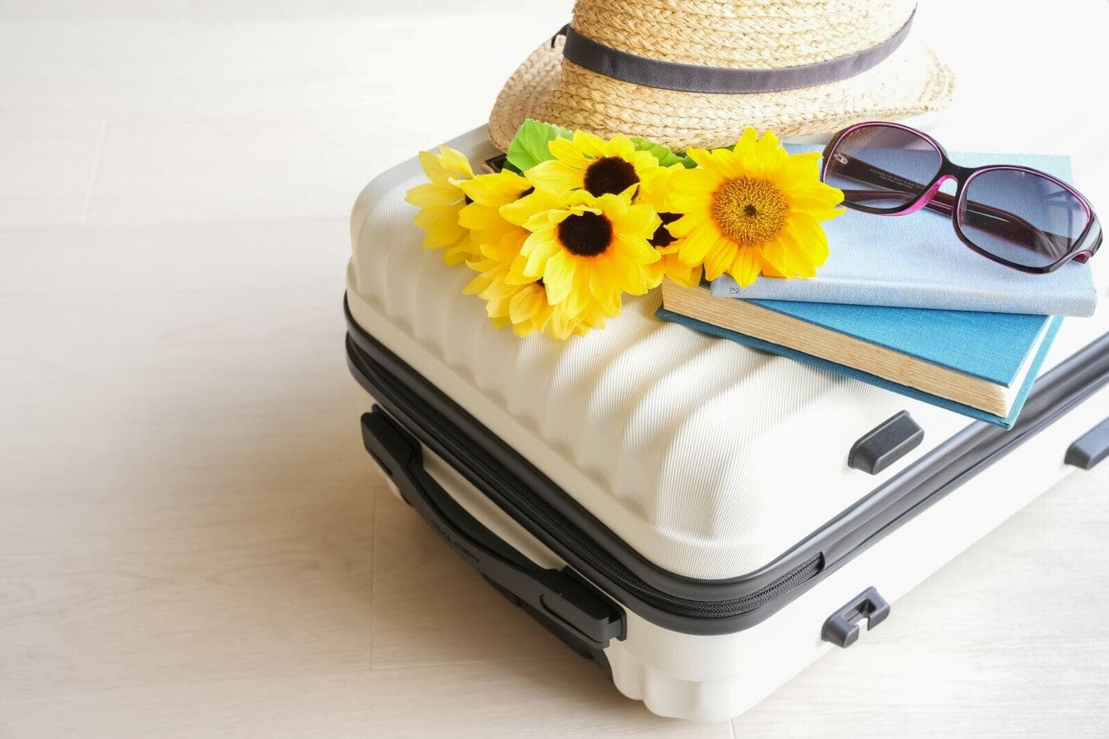 《夏の旅行・帰省前》これは”絶対やって!”家を空ける前の準備｜冷蔵庫・ゴミ・防犯  