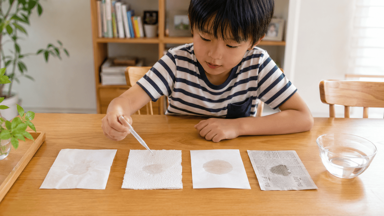 【小学生の自由研究】まだ間に合う！家でできる面白い・簡単テーマ12選