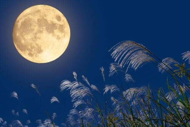 お月見はいつ？2026年の十五夜・十三夜｜月を眺めて気持ちを整える夜に 