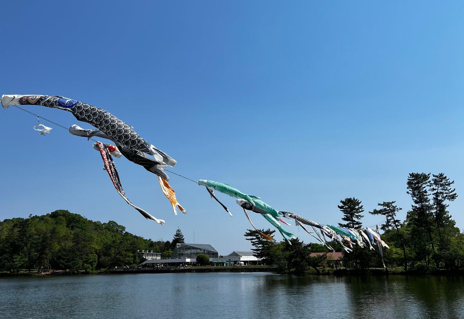 五月人形と鯉のぼりの違いは？どちらも飾るべき？    