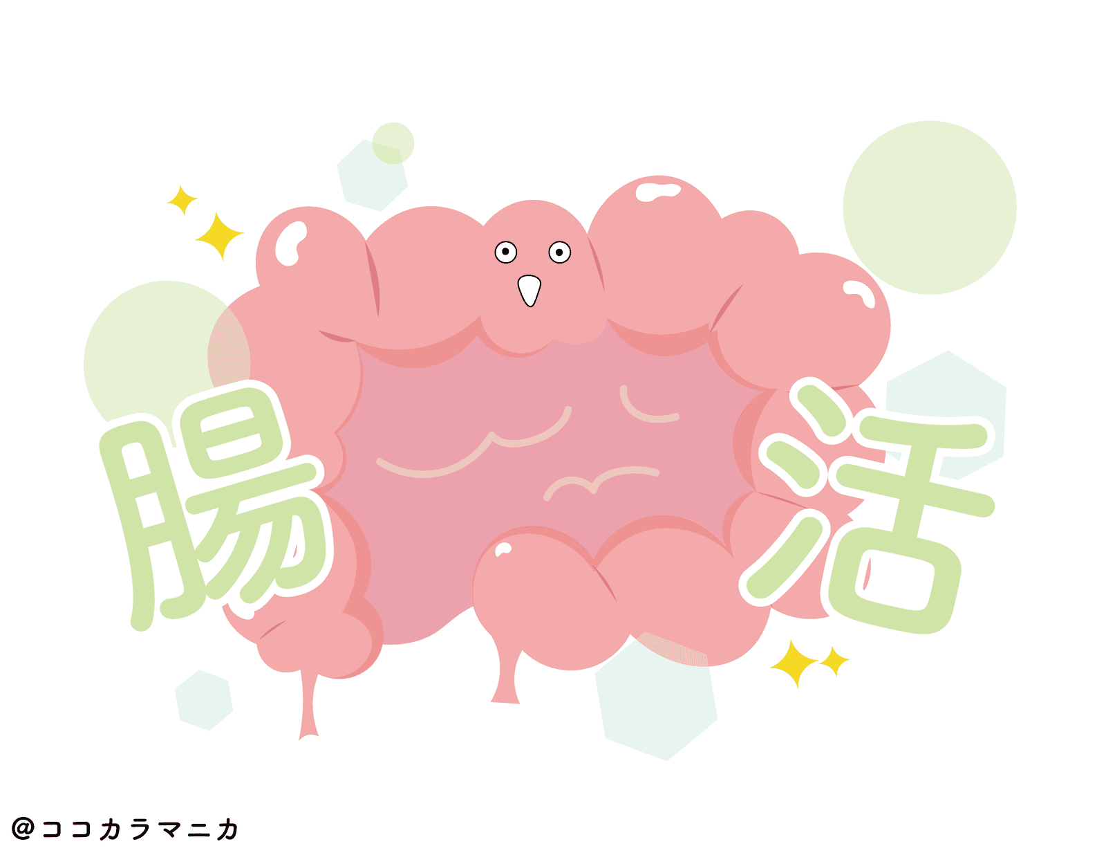 30代からの「腸活」習慣入門 ｜腸から整える、美しい私へ。